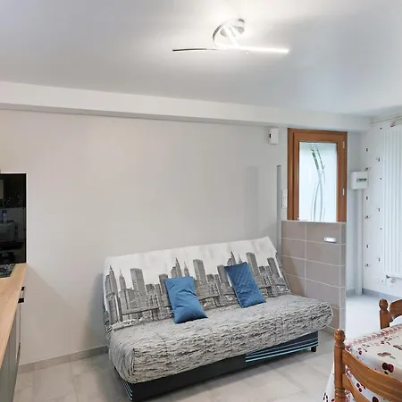 公寓 Avec Terrasse Proche Gerardmer Inclus Aumontzey